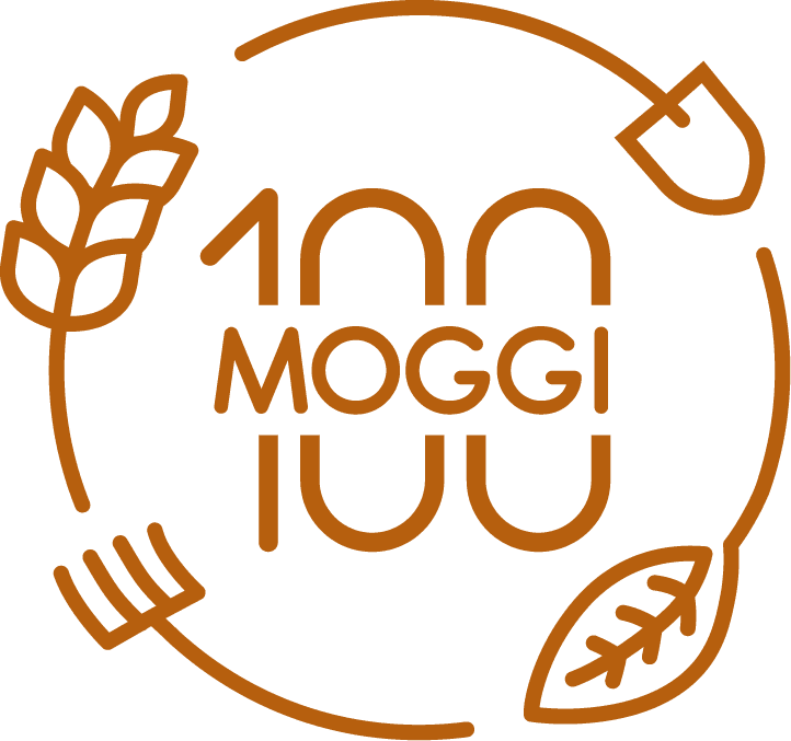 100 Moggi