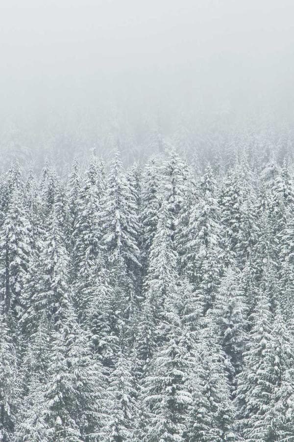 Passo a due, ma in blu