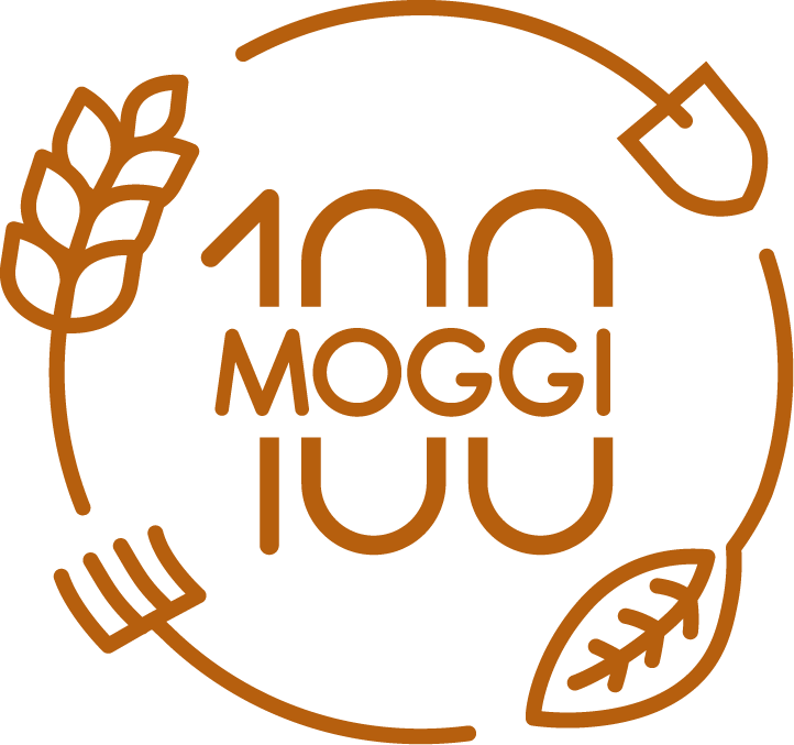 100 Moggi