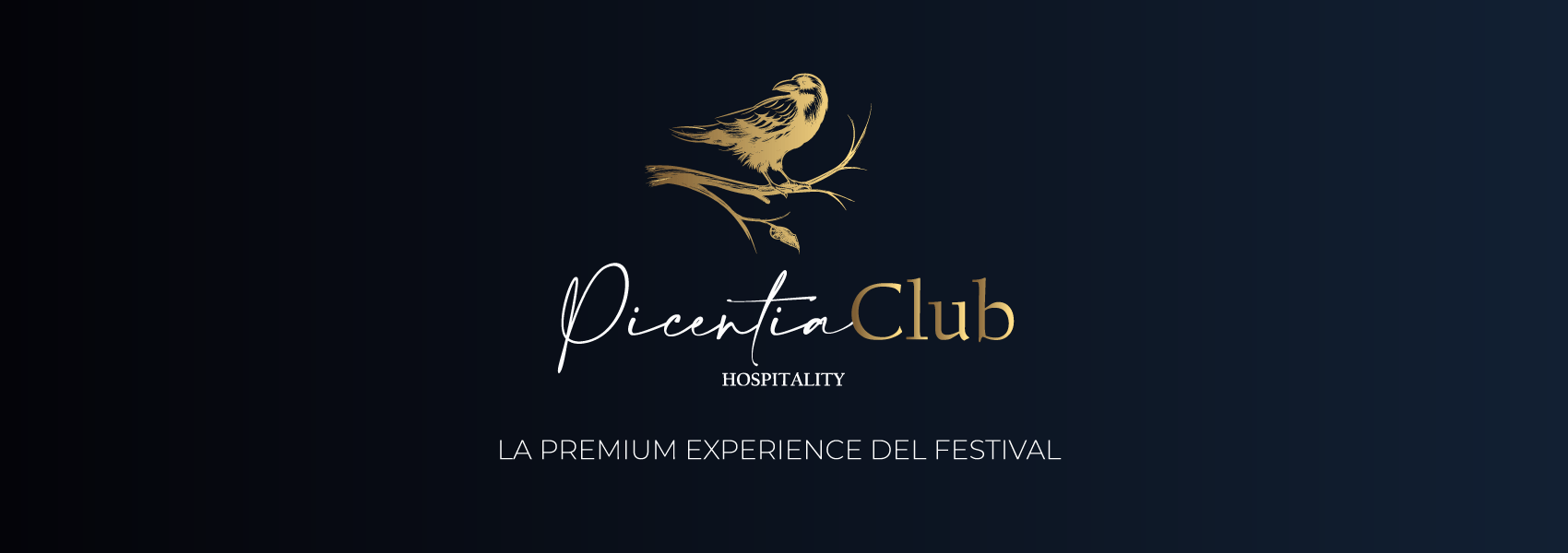 PICENTIA-CLUB-HOSPITALITY-LUNGO